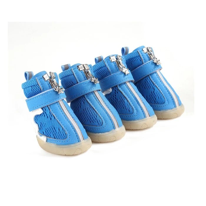 Zapatos para Perro de Temporada Color Azul - Pethome