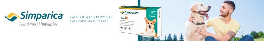 Simparica en Pethome-.