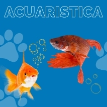 Acuaristica