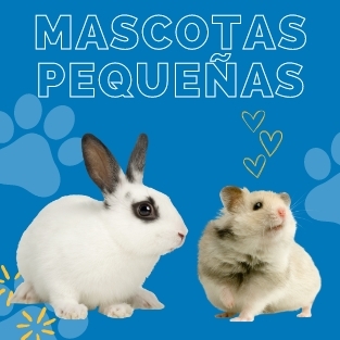 Mascotas Pequeñas