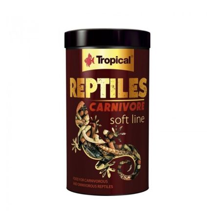 Tropical Reptiles Carnivore