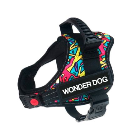 Arnes Wonder Dog Pro Abstracto Colores