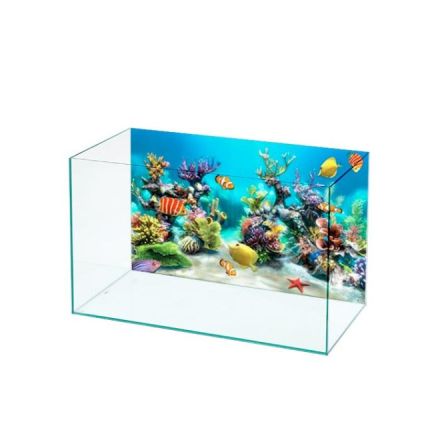 Acuario con Tapa y fondo Decorativo 21Lts