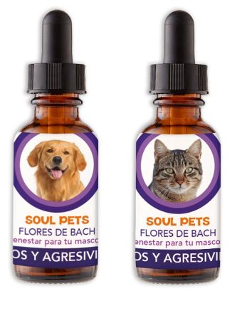 SOULPETS PERROS Y GATOS CELOS Y AGRESIVIDAD