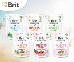 Snack Crunchy brit insects