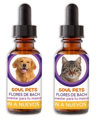 SOULPETS PERROS Y GATOS ADAPTACION NUEVOS AMBIENTES