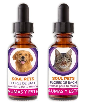 SOULPETS PERROS Y GATOS TRAUMAS Y ESTRES