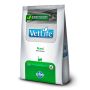 Vetlife Gato Renal