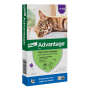 Advantage Pipeta antiparasitaria Externa para Gatos de 4 a 8 KG