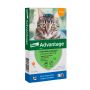 Advantage Pipeta antiparasitaria Externa para Gatos hasta 4 KG