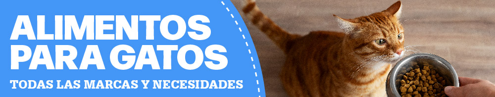 Un gato come de los deliciosos alimentos que Pethome trae, Alimento para gatos - Todas las marcas y necesidades.