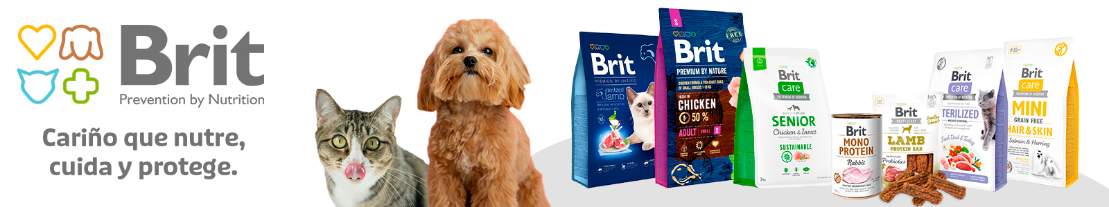 Los mejores alimentos para Perros en Pethome.